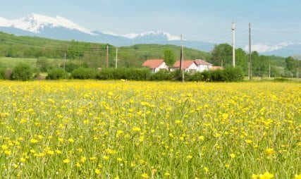Nature landschape Kosovo with flowers